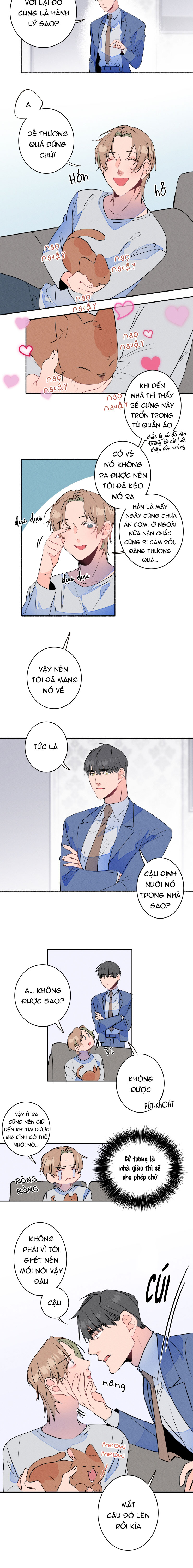 Cưới Anh Hả?! Được Luôn! Chapter 8 - Trang 2