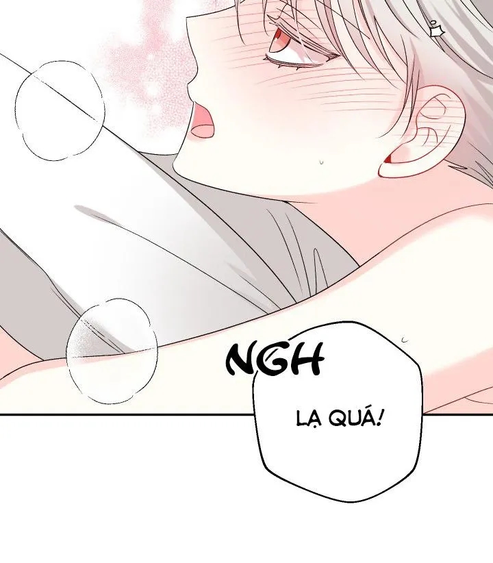 Vụ Đính Hôn Này Là Một Trò Lừa Đảo! Chapter 4 - Trang 2