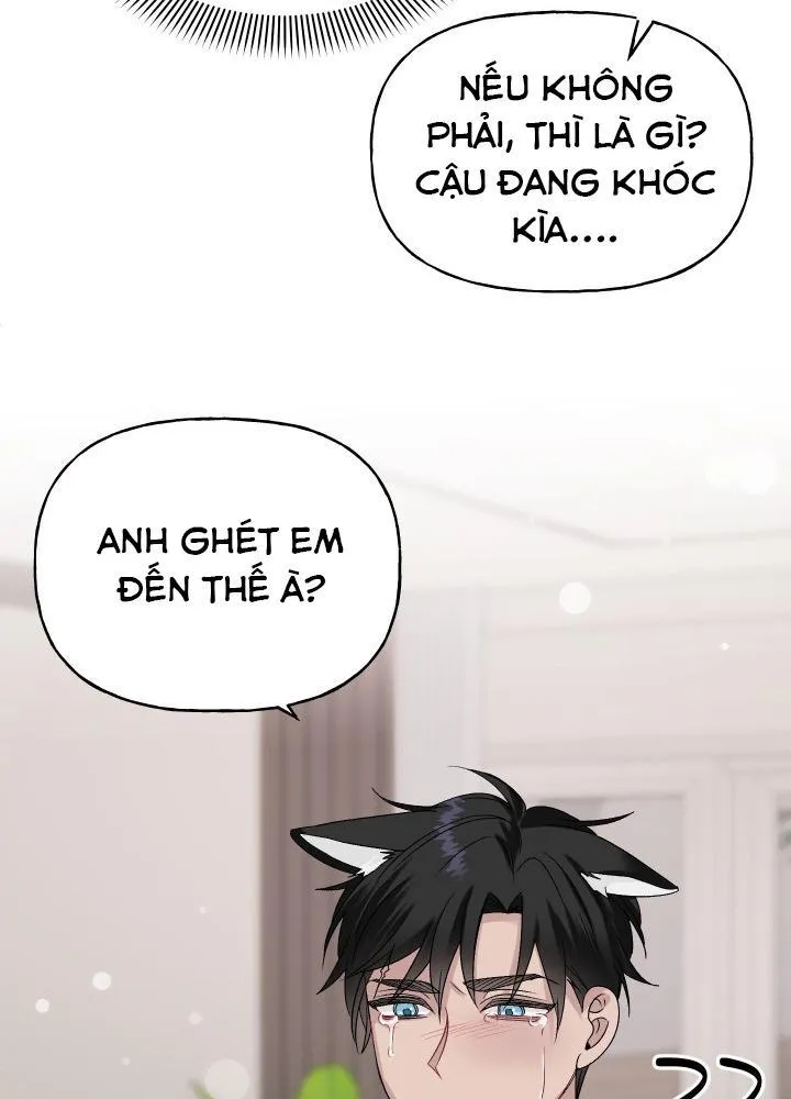 Vụ Đính Hôn Này Là Một Trò Lừa Đảo! Chapter 5 - Trang 2