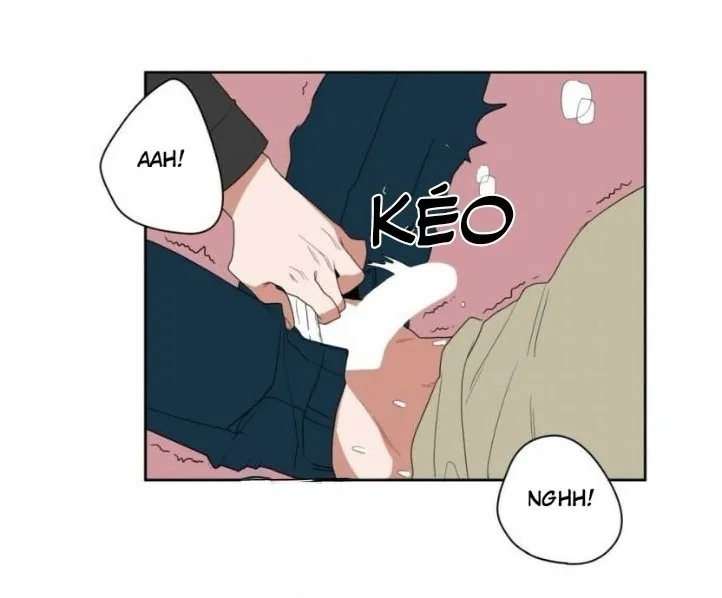 Ngôn Ngữ Kí Hiệu Chapter 7 - Next Chapter 8