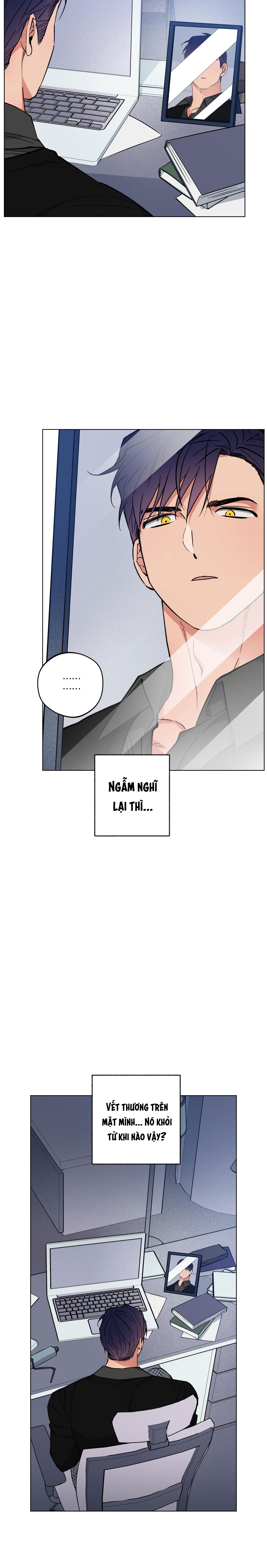 Bình Minh Trên Sông Mây Chapter 25 - Next Chapter 26