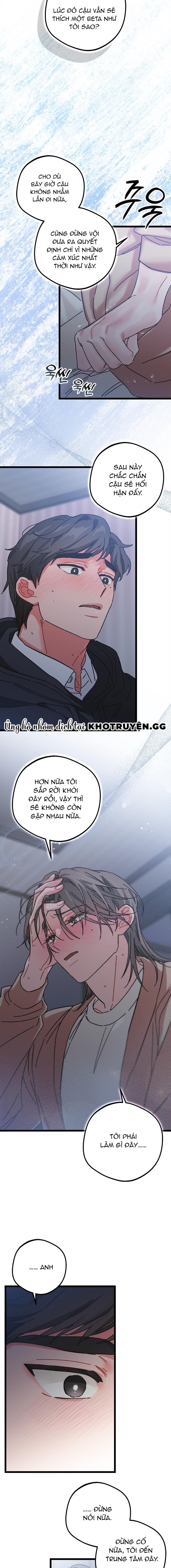 Alpha Thì Có Sao? Chapter 8 - Trang 2