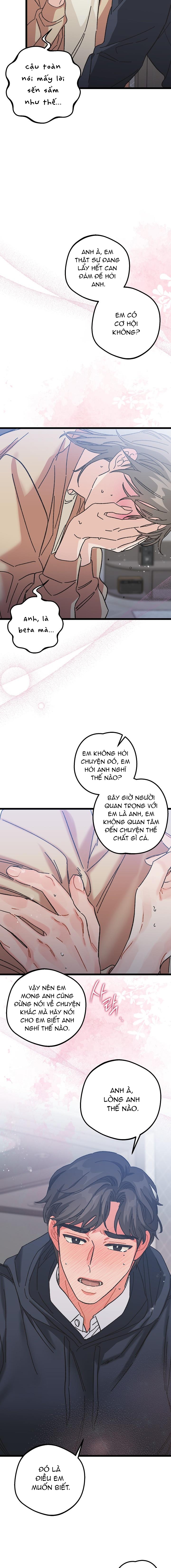 Alpha Thì Có Sao? Chapter 8 - Trang 2